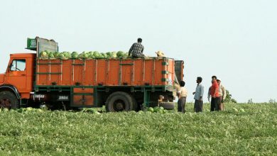 بخش کشاورزی چابهار